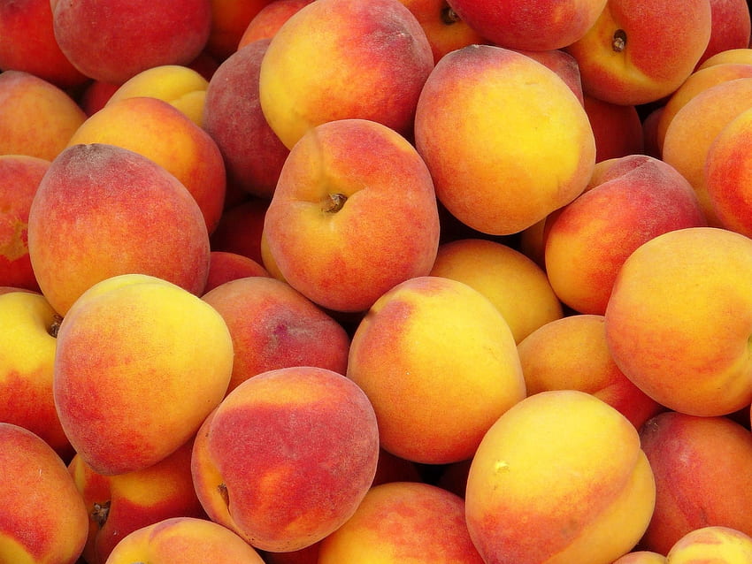 Früchte, Lebensmittel, Hintergrund, Pfirsiche, reif HD-Hintergrundbild