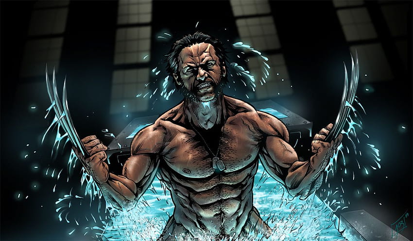 Wolverine. Kartun. Wolverine , Keajaiban dan Komik, Wolverine Keren Wallpaper HD