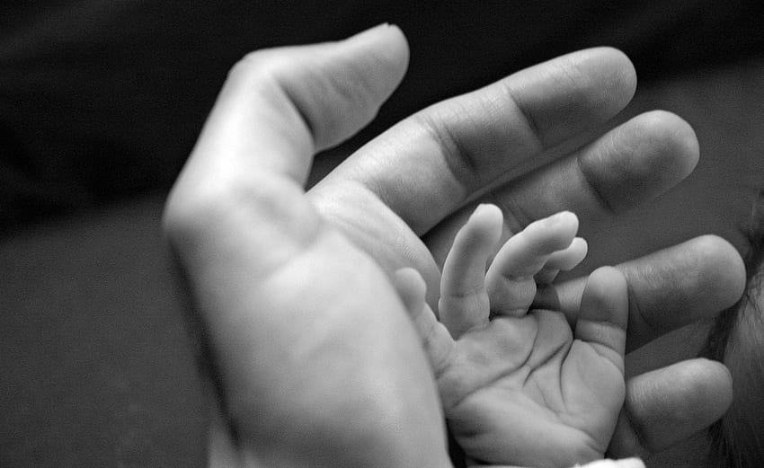 Hands, Care, Tenderness, Child, Adult HD wallpaper