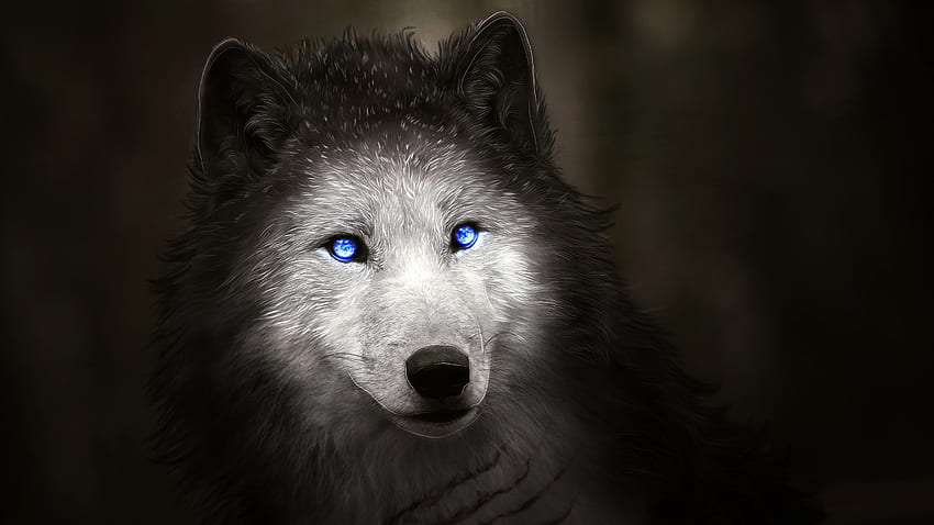 Wolf, blaue Augen, majestätisch, digitale Kunst - Maiden HD-Hintergrundbild