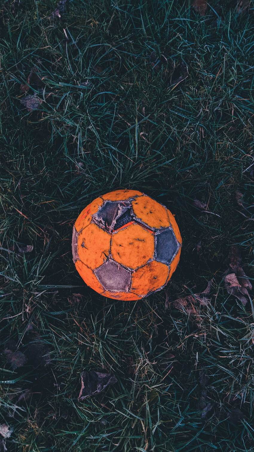 Sports, Grass, Football, Old, Hoarfrost, Frost, Soccer Ball HD phone wallpaper