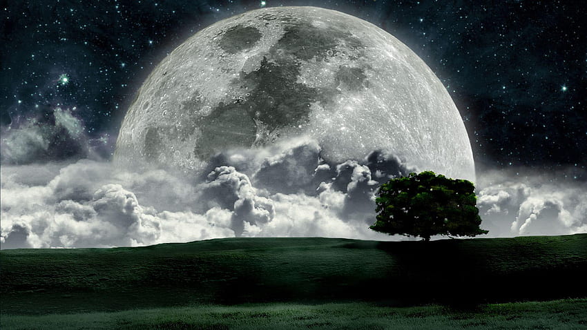 Grande luce lunare, super luna al tramonto Sfondo HD
