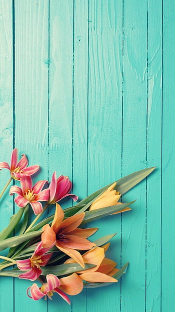Flower pinterest HD wallpapers | Pxfuel