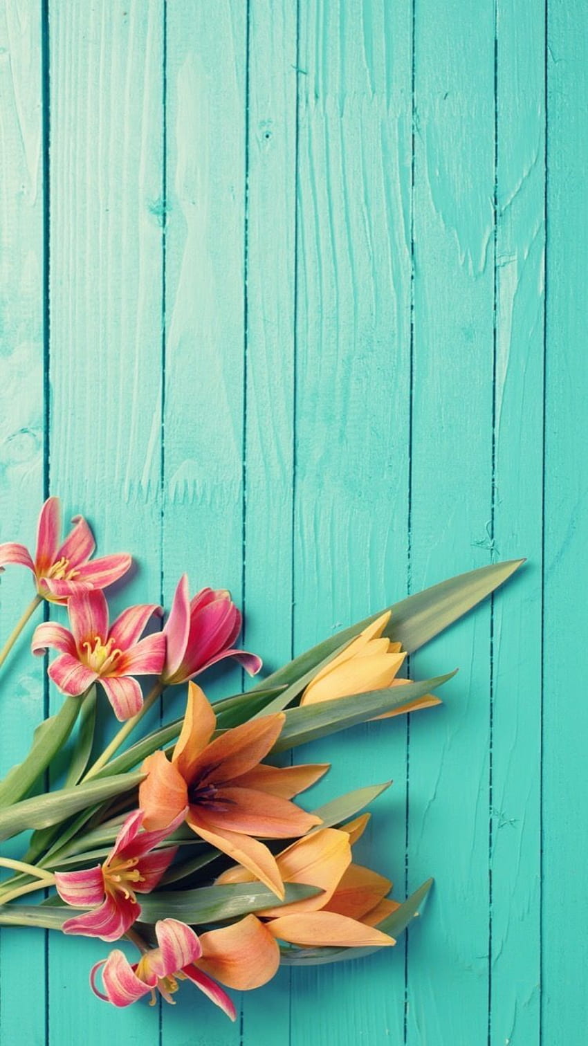 Aguentar. Flor iphone , Lindas flores , Flor de fundo, Pinterest Primavera Papel de parede de celular HD