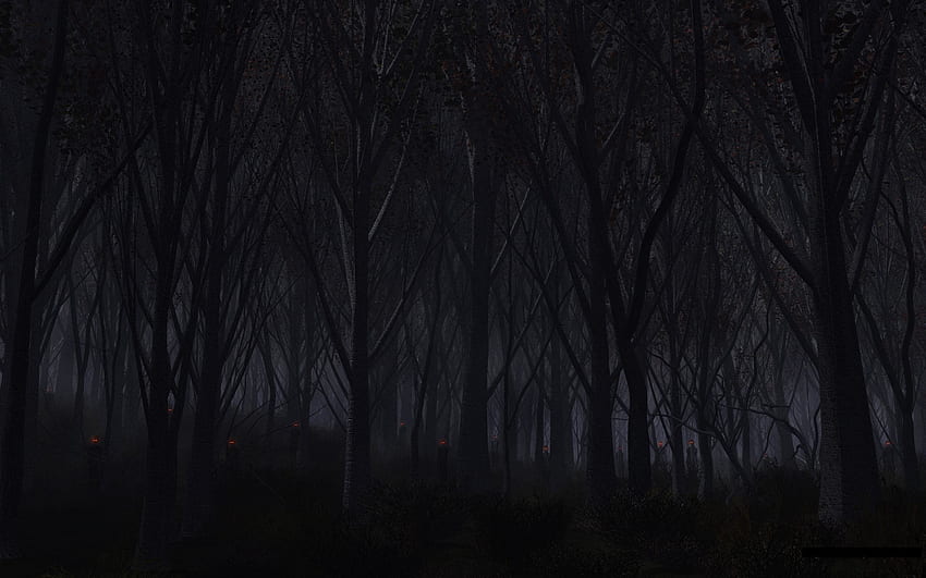 Creepy Forest, Dark Scary Forest HD wallpaper