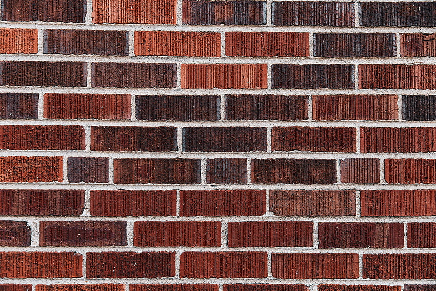 Bricks wall, interior, texture HD wallpaper