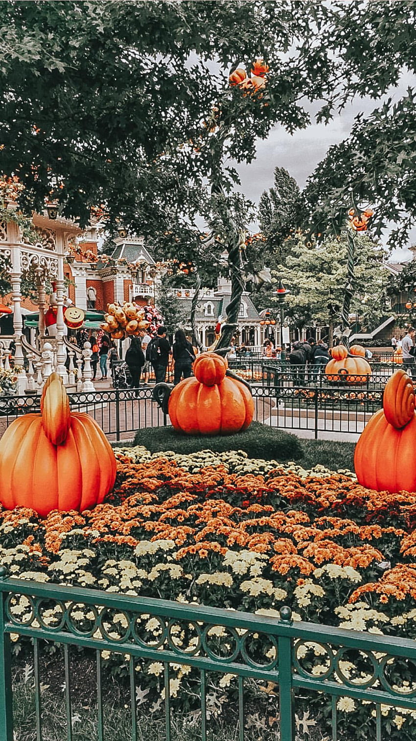 Disney Fall Wallpaper  NawPic