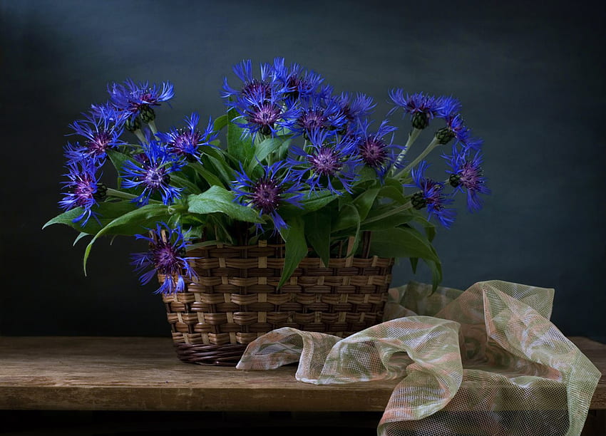Kornblumen, Regal, Blumen, Brett, Korb HD-Hintergrundbild