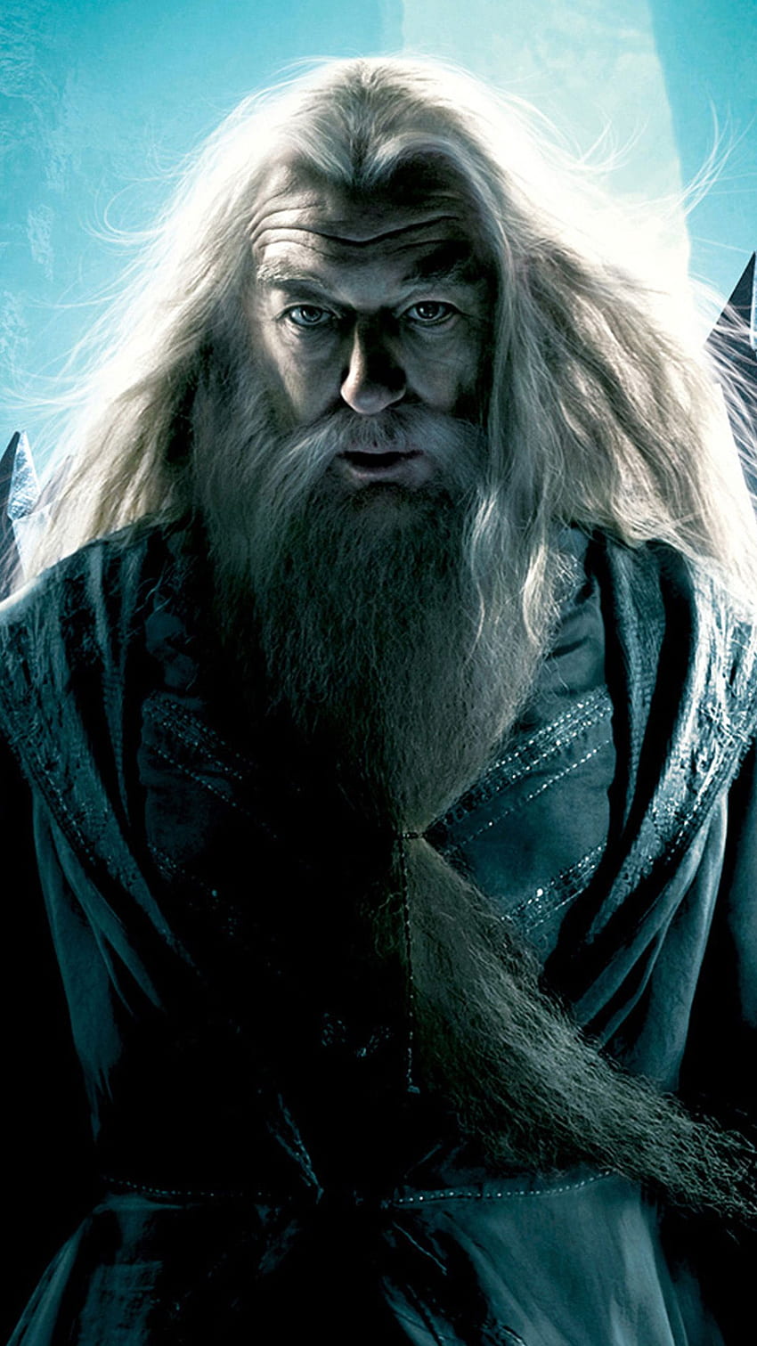 Harry Potter And Dumbledore HD phone wallpaper