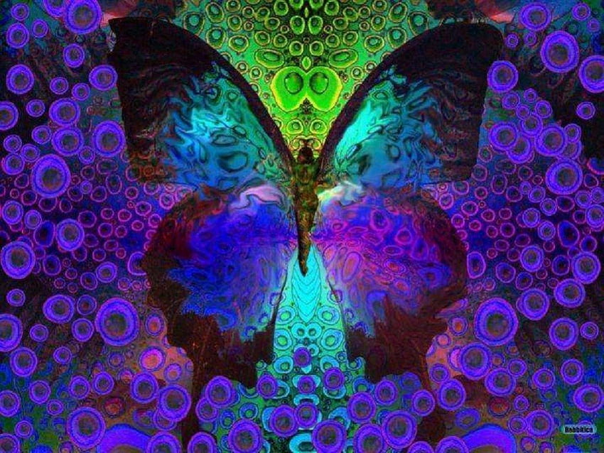 Butterfly Dreams, résumé, papillon, fantaisie, animaux Fond d'écran HD