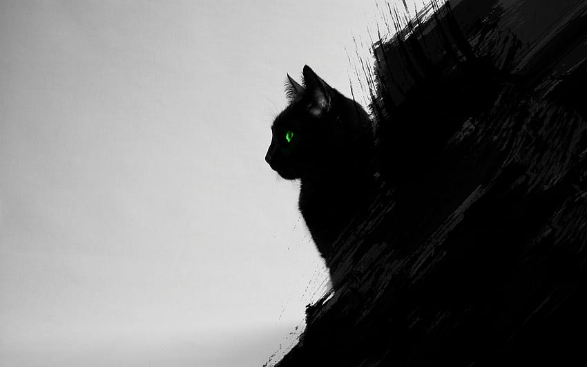 猫 黒猫 動物 緑の目 アートワーク デジタル アート 黒 グレー , 緑の目を持つ黒猫 高画質の壁紙