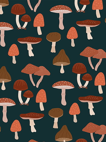100 Mushroom Phone Wallpapers  Wallpaperscom