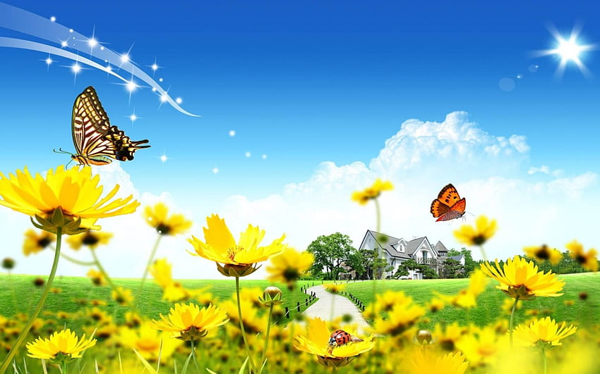 цветя пеперуди, пеперуди, забавление, готино, природа, цветя HD тапет
