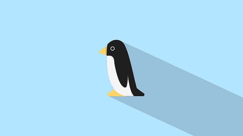 Minimalist Penguin, Animal Minimalist HD wallpaper