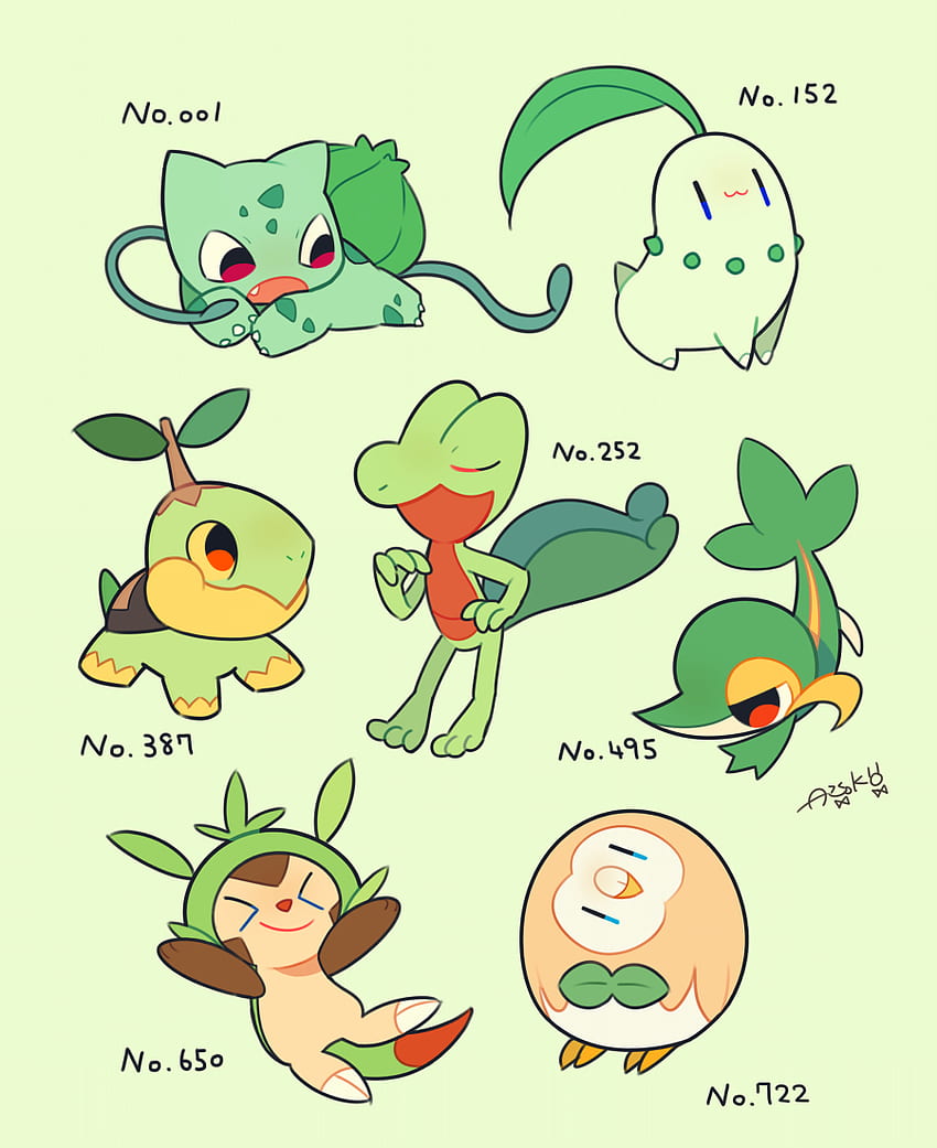 Treecko And Snivy Are My Favorites - Grass Type Starters,, Grass Pokemon HD phone wallpaper