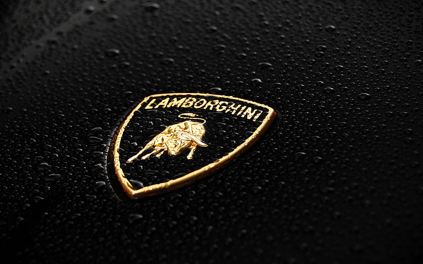 Cool Lamborghini Logo HD wallpaper