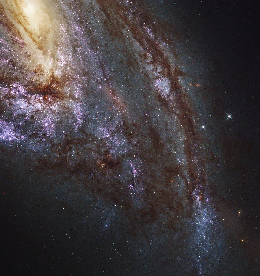 Messier 66, Leo Constellation HD phone wallpaper
