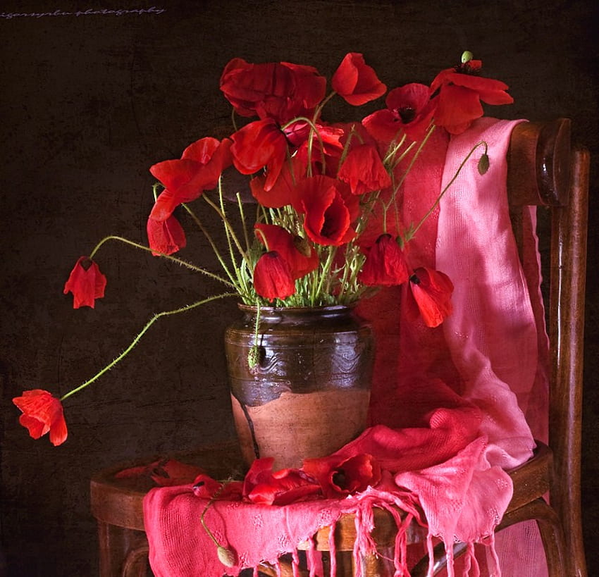 Gathering, chair, poppies, black and brown, shawl, red, vase, rose colored HD wallpaper