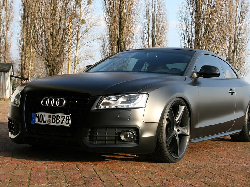 Audi A5 Avus Performance 2009, avus, performance, a5, 2009, audi HD wallpaper