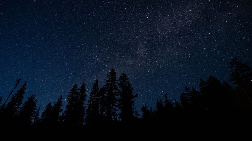 Sternenhimmel, Bäume, Nacht, Radi - Night Sky Mac - Fond d'écran HD