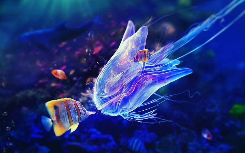 Jellyfish, Sea, Glowing, Water, Reef, Underwater, Ocean, Coral, Fish, Deep HD wallpaper
