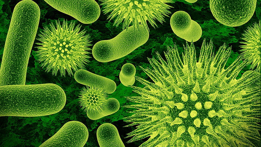 alam closeup mikroskopis virus bakteri ilmu biologi hijau Wallpaper HD