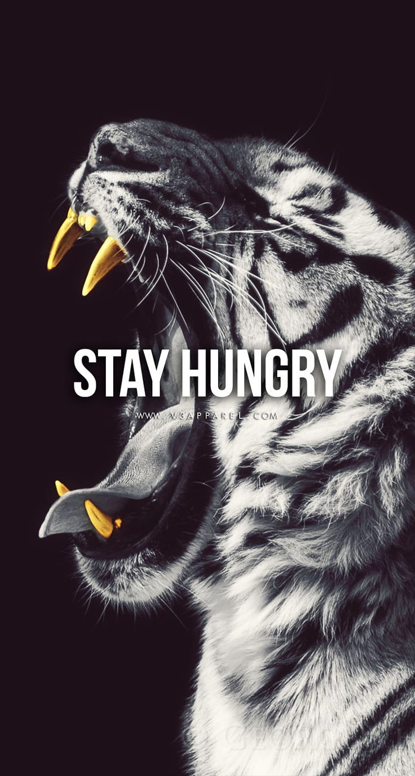 iPhone XS : Restez affamé. Dirigez-vous vers Fond d'écran de téléphone HD