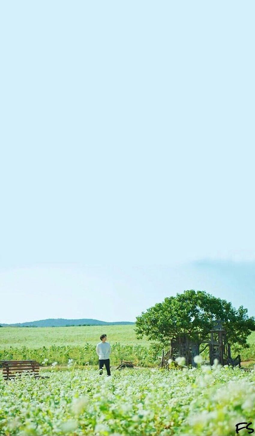 Korean Viva Home the lonely and great god goblin drama HD phone wallpaper   Pxfuel