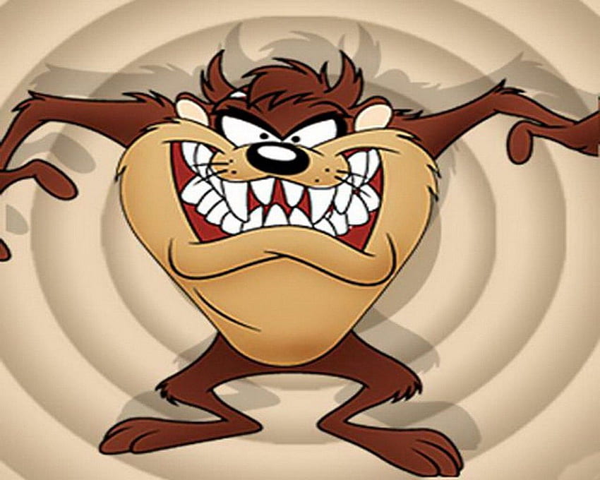 Tasmanian devil cartoon HD wallpapers | Pxfuel