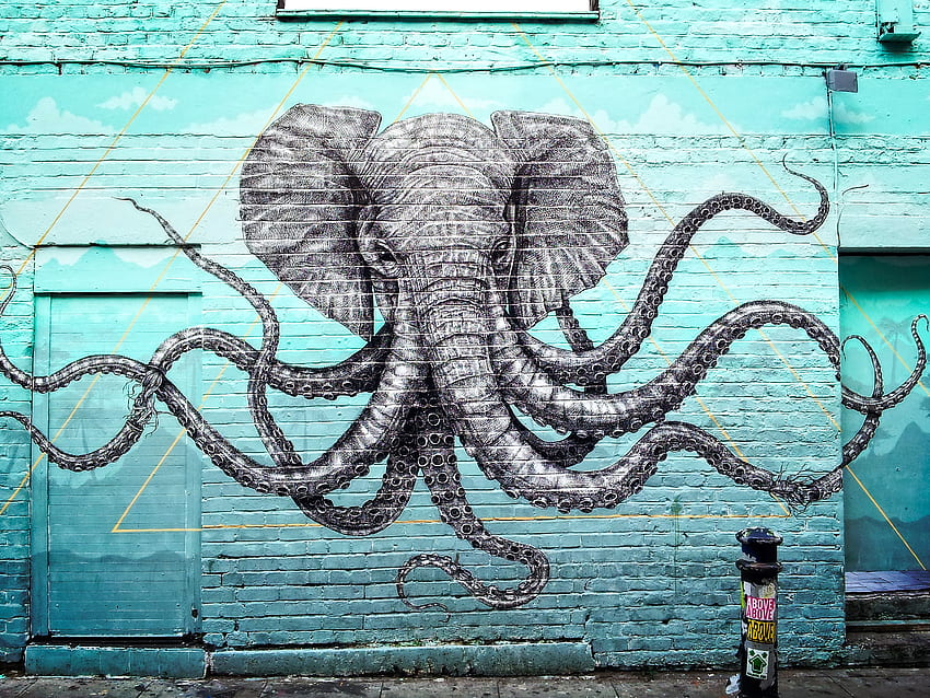 Sztuka, ośmiornica, graffiti, macki, słoń Tapeta HD