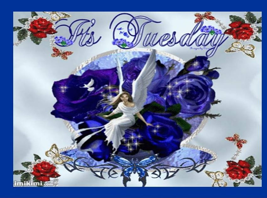 It's Tuesday, butterflies, roses, dove, blue frame, tuesday, angel HD wallpaper