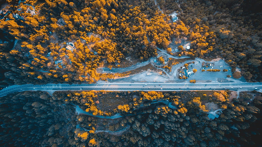 Autostrada, alberi, veduta aerea Sfondo HD