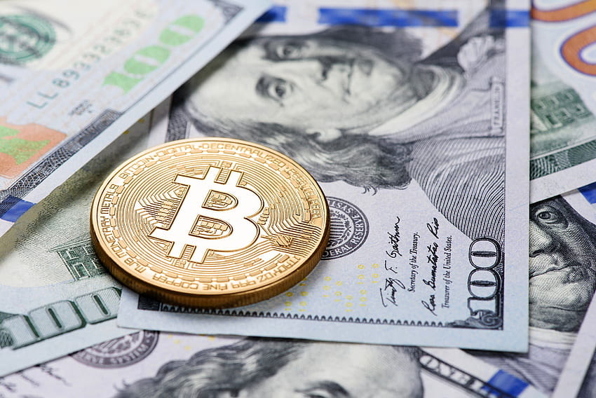 Bitcoin, 동전, 달러, 돈. 모카, 달러 동전 HD 월페이퍼
