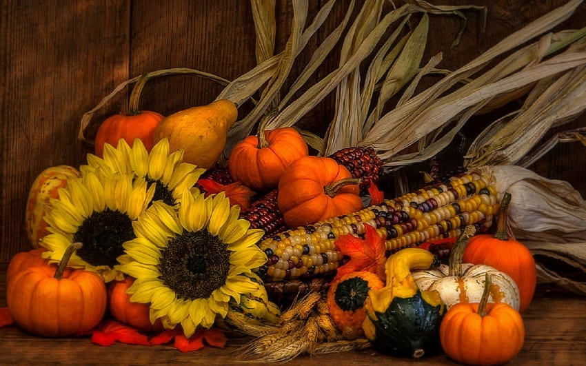 Grafik Stillleben-Grafik Herbstkürbis, Herbsternte Kürbis Sonnenblume HD-Hintergrundbild