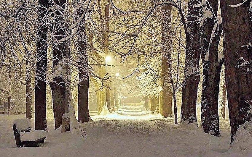 雪に覆われた通り、雪、公園、冬、ベンチ、通り、木々 高画質の壁紙