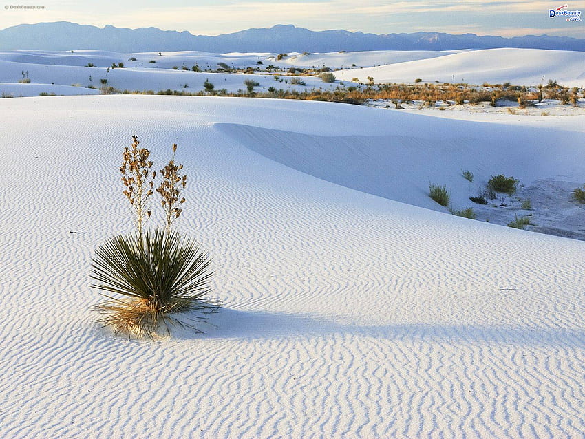 White Sands, New Mexico Desert HD wallpaper