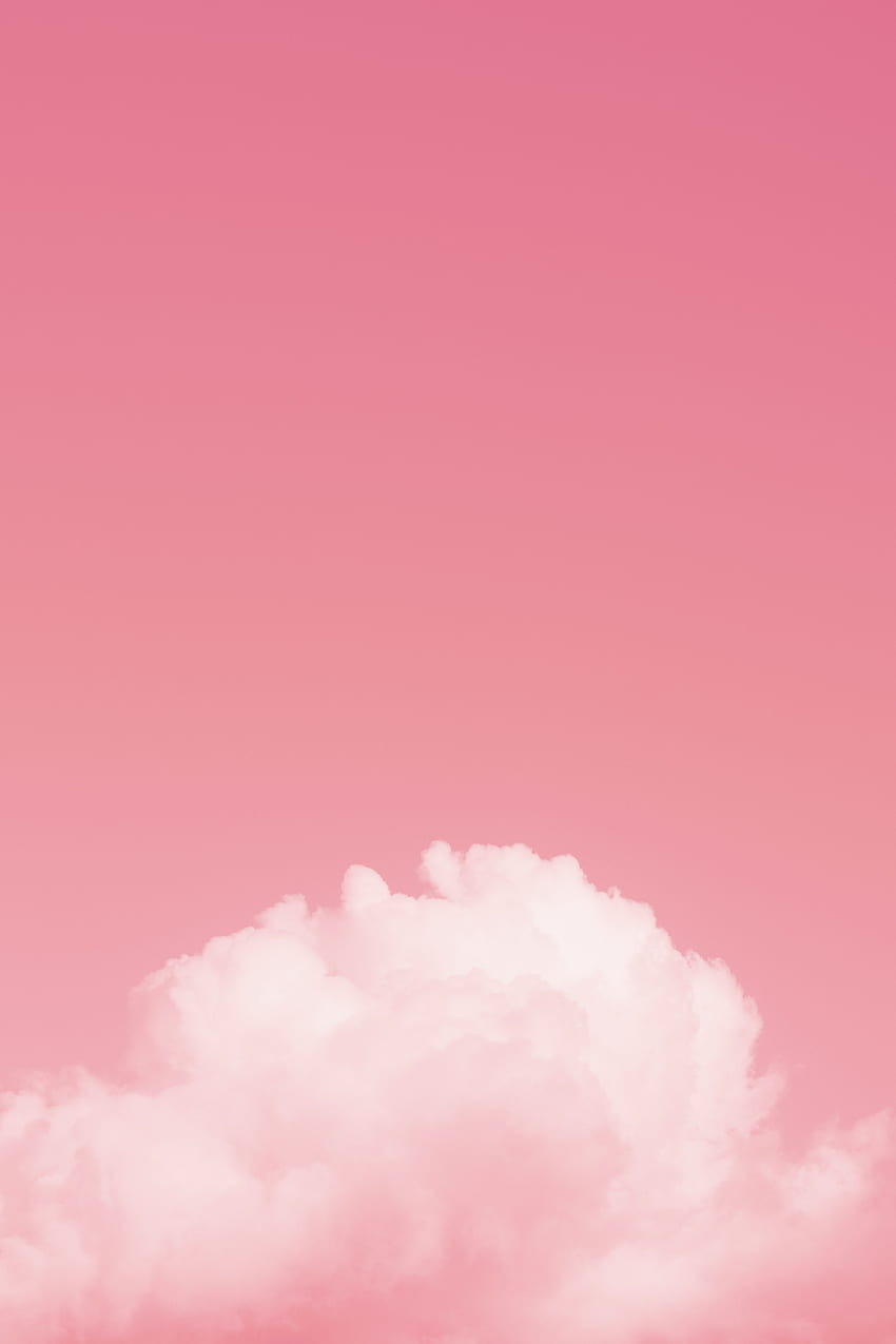 Soft Cute Pink Aesthetic / 15 miami lightroom mobile e preset, filtri instagram per instagram e blogger, preset di viaggio, preset lifestyle, preset primavera estate, preset anni '80, preset iphone, Miami Pink Sfondo del telefono HD
