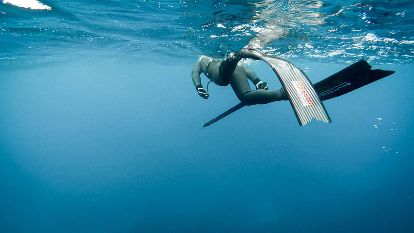Подводен риболов HD тапет