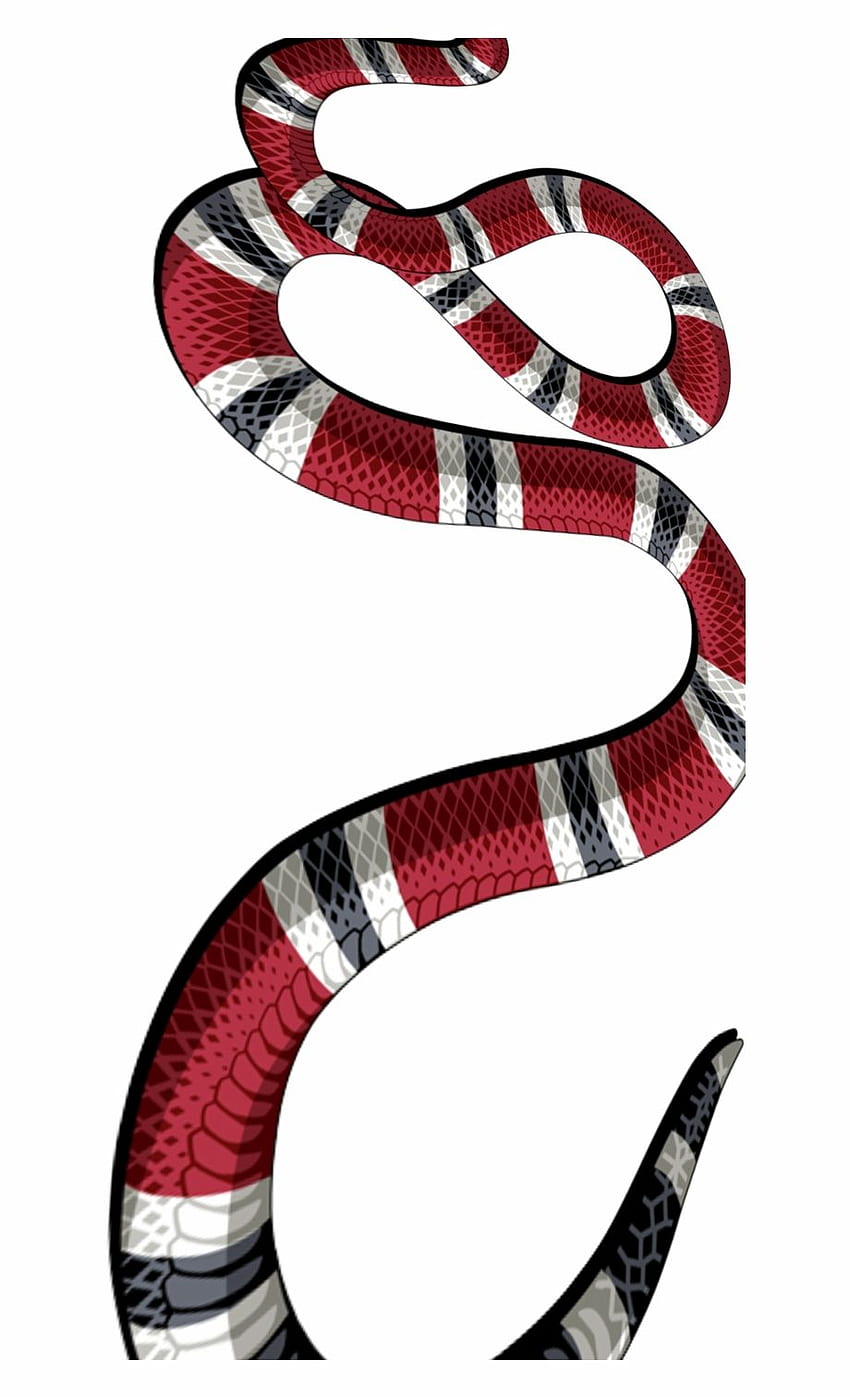 Share 95+ gucci snake wallpaper 4k super hot - 3tdesign.edu.vn