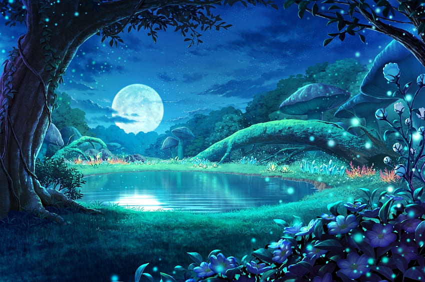 Anime Landscape, Moonlight, Forest, Reflection, Mushrooms, Stars, Night for Chromebook Pixel HD wallpaper