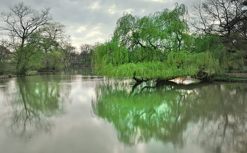 ฤดูใบไม้ผลิ ธรรมชาติ ต้นไม้ ทะเลสาบ สวนสาธารณะ เดรสเดน วอลล์เปเปอร์ HD