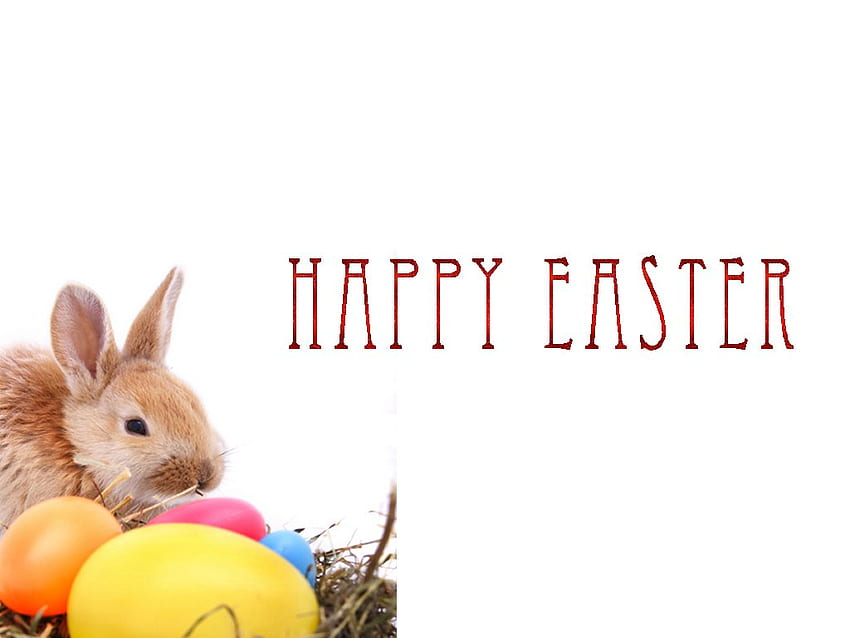Easter bubby, bunny, egg, holiday, easter HD wallpaper