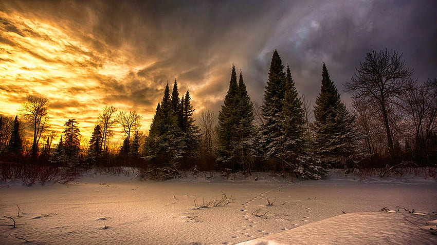 Pinewood River, Ontario, canada, snow, winter, trees, clouds, sky, sunset HD wallpaper