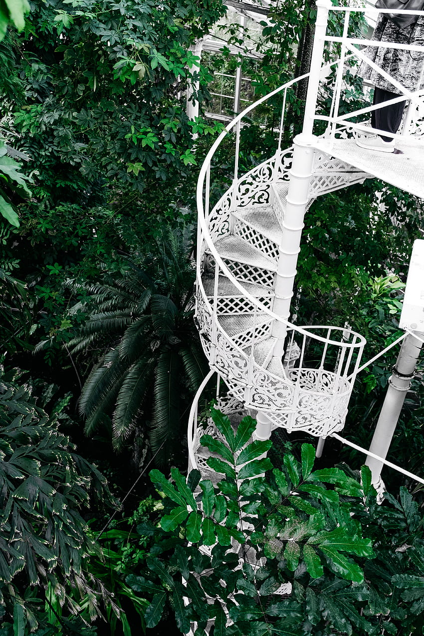 Plantes, fleurs, escaliers, échelle, circulaire, jardin botanique, jardins botaniques Fond d'écran de téléphone HD