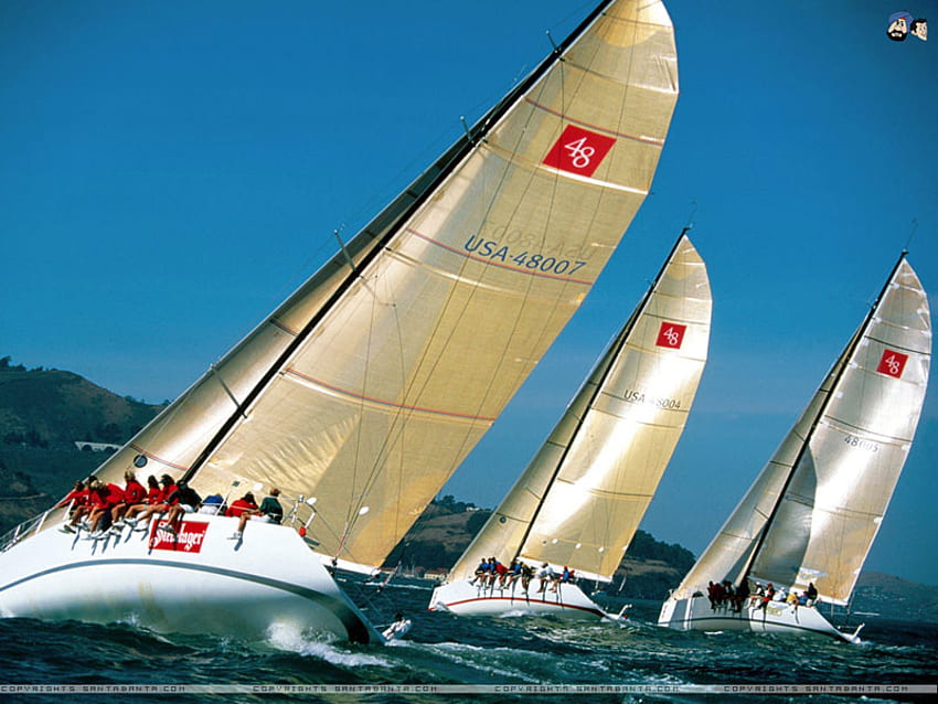 sailing in a race, sea, sailing, race HD wallpaper