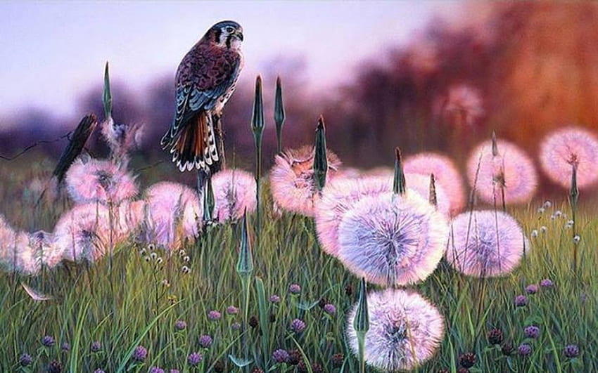 Meadow Bird, elang, padang rumput, bunga, rumput, indah Wallpaper HD