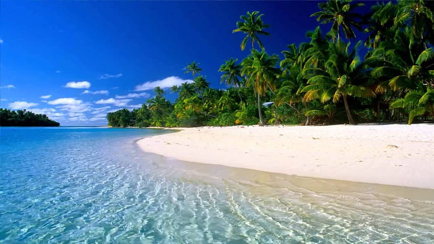 Free download Tropical Beach Live Wallpaper 37 Group Wallpapers 928x1391  for your Desktop Mobile  Tablet  Explore 37 Live Tropical Wallpaper   Tropical Wallpaper Wallpaper Tropical Tropical Beach Background