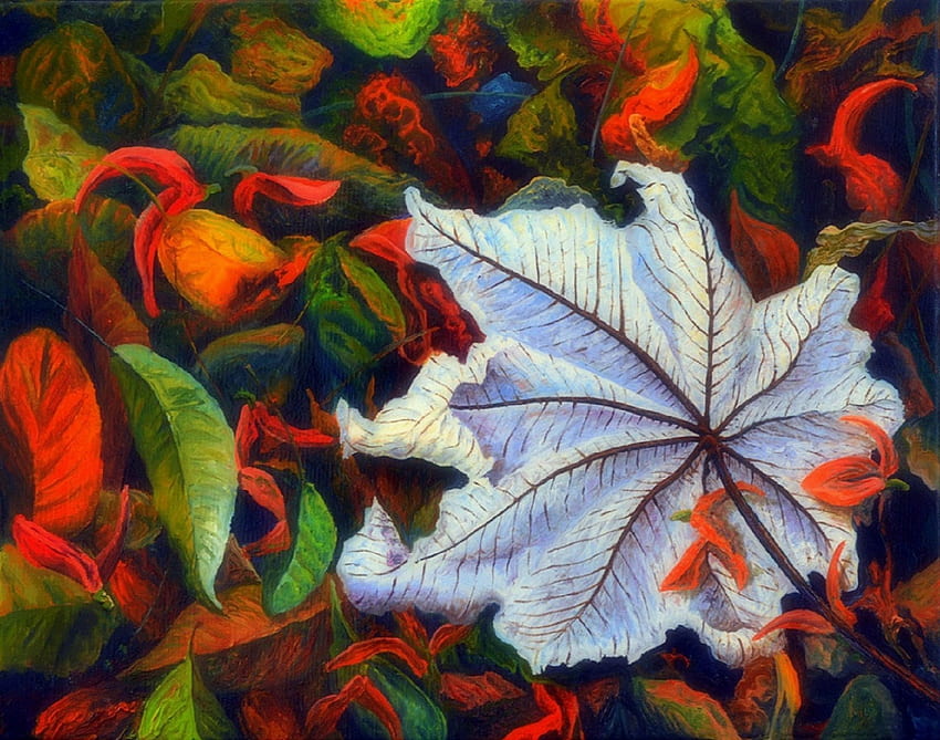 다른 가을 잎, 가을, 사이키델릭, 색상, 전통 예술, , 아름다운, 가을의 아름다움, 창의적인 사전 제작, 사계절 사랑, 잎, 가을, 그리기 및 페인트, 놀라운, 흰색 잎, 다른 HD 월페이퍼