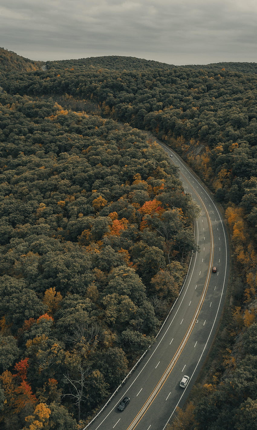 Nature, Trees, Autumn, Road, Markup, Car, Machine HD phone wallpaper