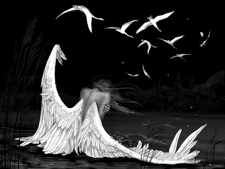 ガンバー Black Angel - Broken Wing Fallen Angel - - teahub.io, Broken Wings 高画質の壁紙